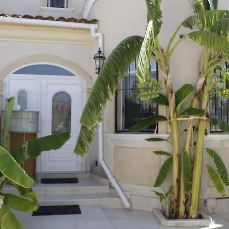 Palm Vacation Msgn